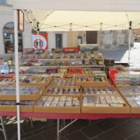 non-ho-leta-mercato-antiquariato-vicenza-33