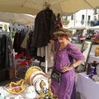 non-ho-leta-mercato-antiquariato-vicenza-37